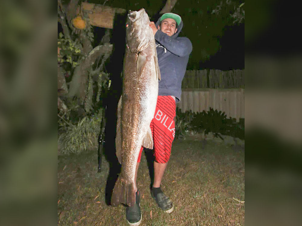 30/07/2018 Justin McNab, Noosaville - Jew Fish - 143cm - 22.8kgs