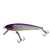 Mutt Shallow - 90mm Handcrafted Timber Fishing Lure