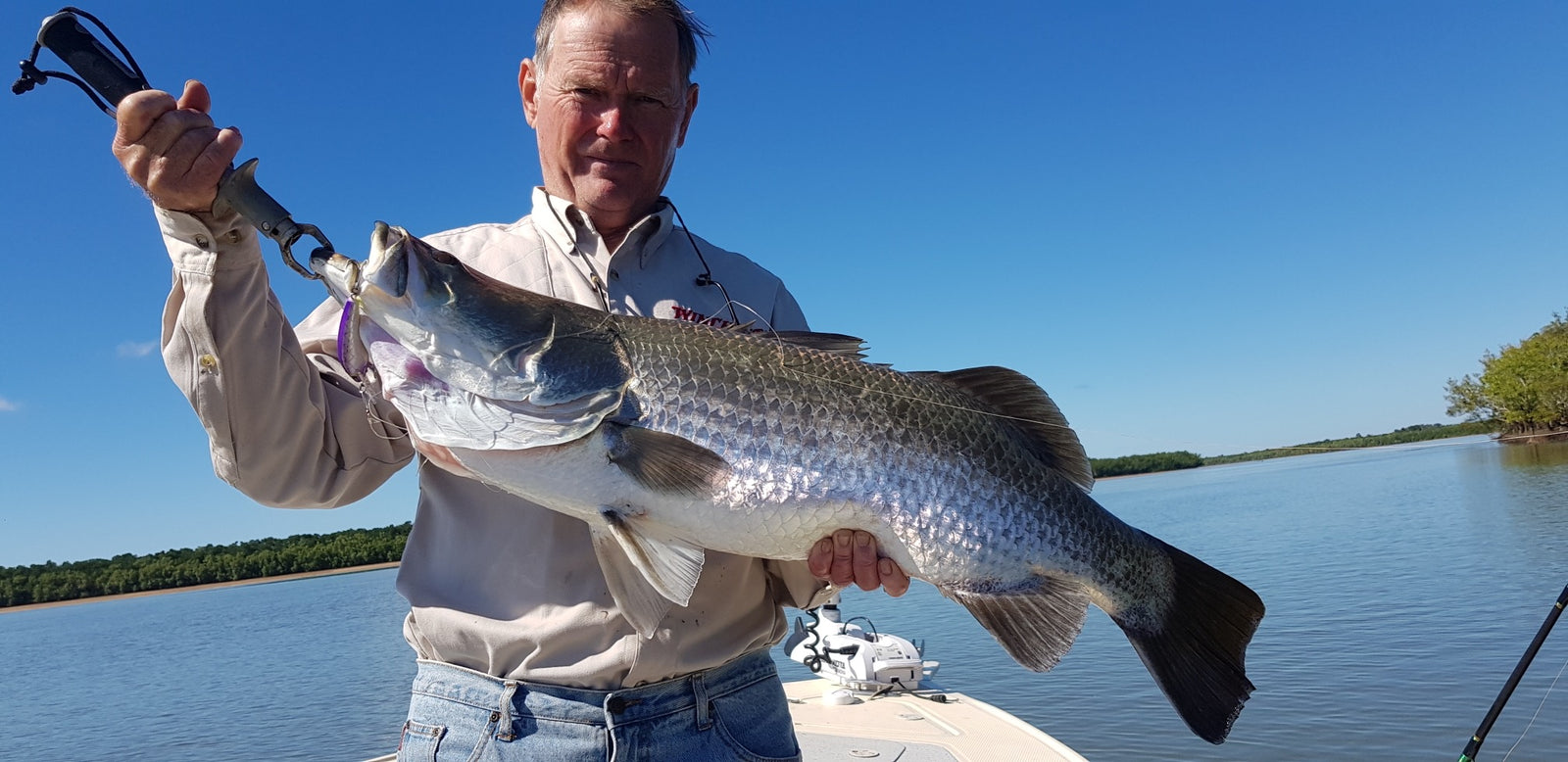 The Old Dog taketh but Old Dog giveth back