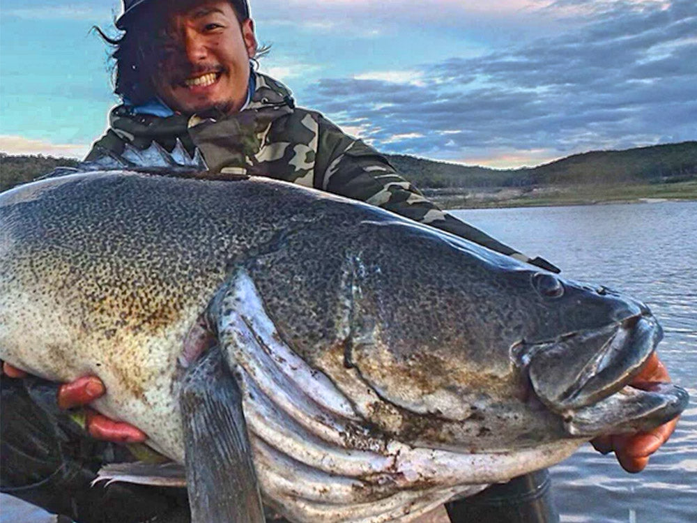 The Honour Board Tagged best lures for catching murray cod - Old