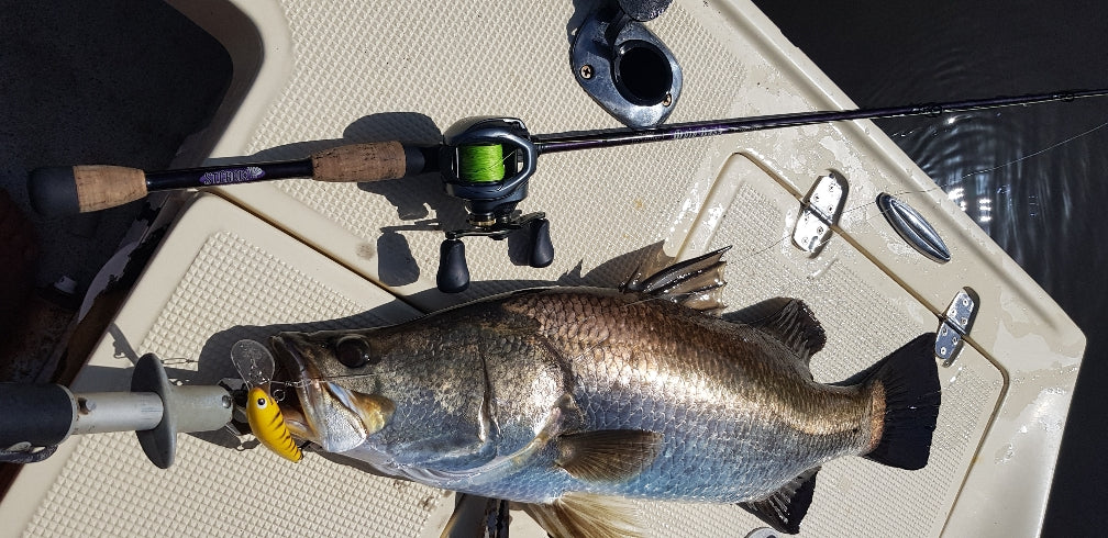 Lines & Leaders for Hard Bodies