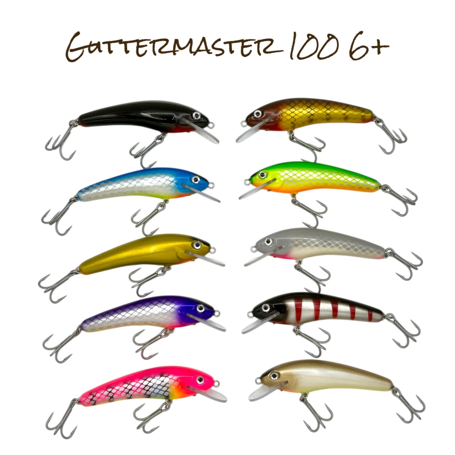 Guttermaster 100 6+