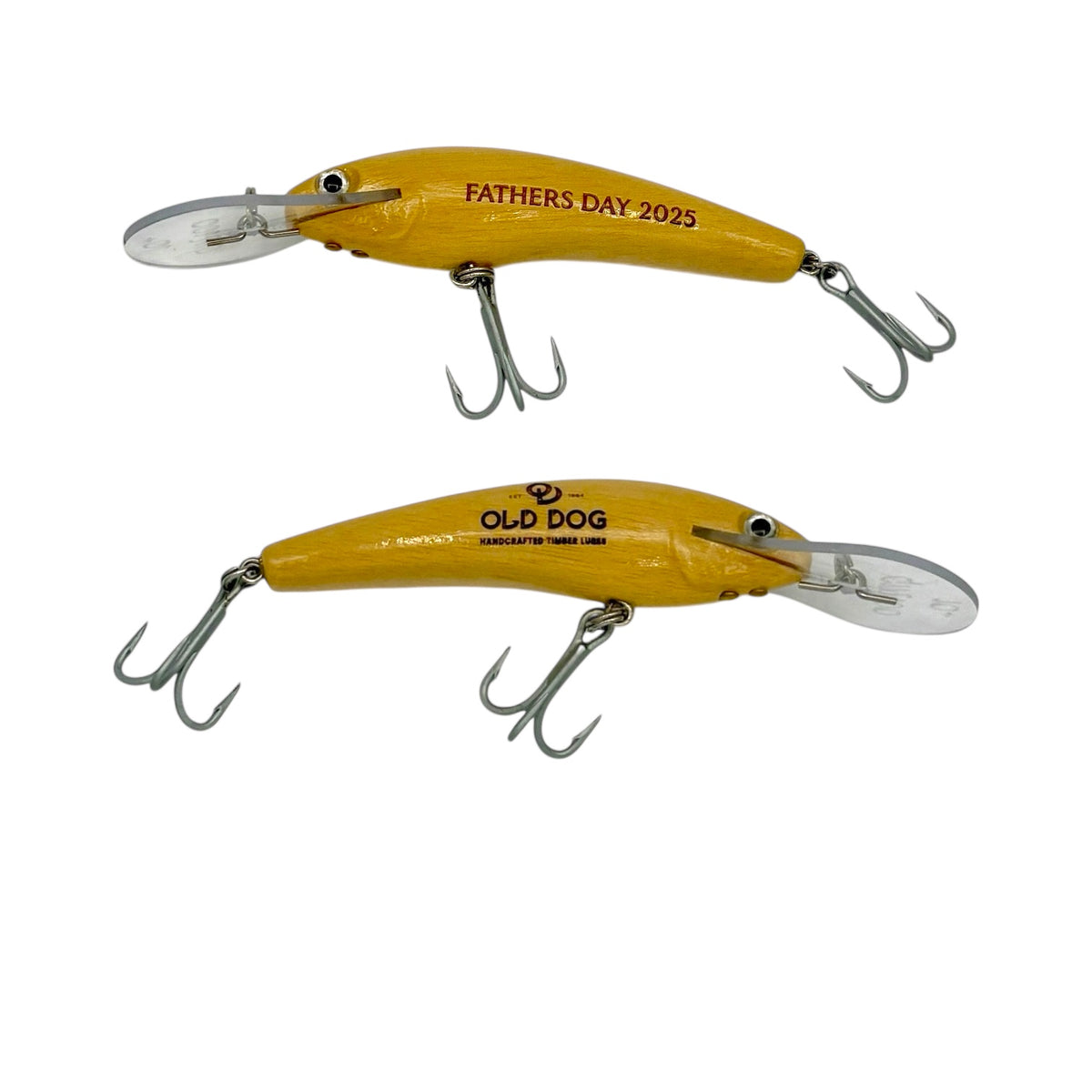 Fathers Day Guttermaster 100 Deep