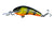 GM60 Perch